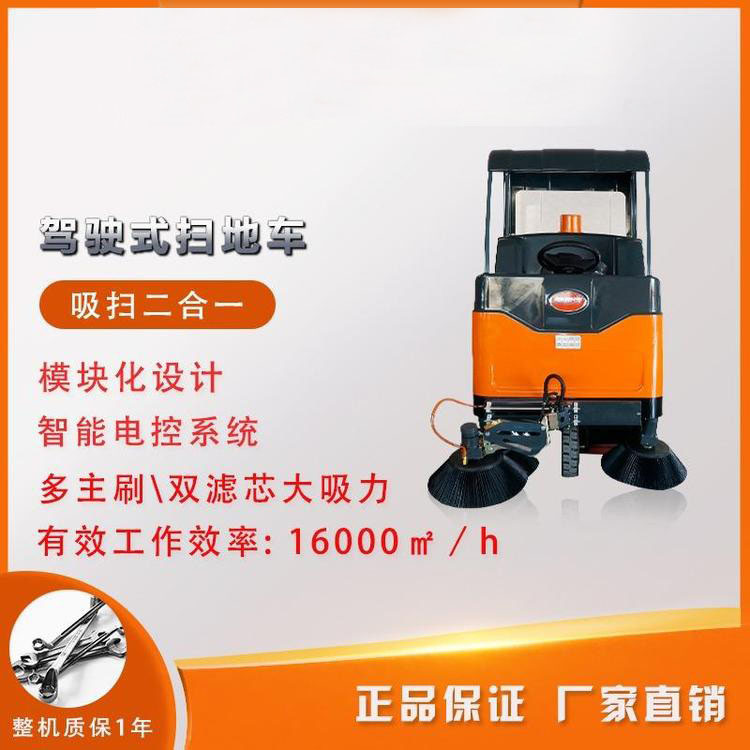 ds16501.jpg